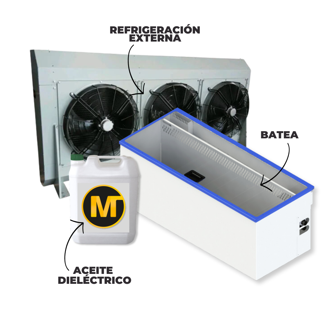 Batea de inmersión - 10 Asics